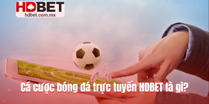 Cá cược bóng đá trực tuyến HDBET là gì?