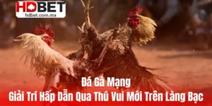 Đá Gà Mạng - Giải Trí Hấp Dẫn Qua Thú Vui Mới Trên Làng Bạc
