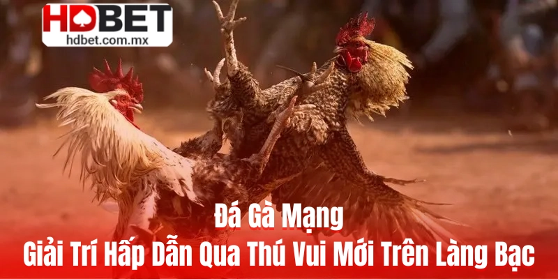 Đá Gà Mạng - Giải Trí Hấp Dẫn Qua Thú Vui Mới Trên Làng Bạc