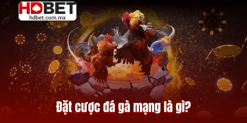 Đặt cược đá gà mạng là gì?