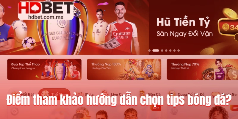 Địa điểm tham khảo hướng dẫn chọn tips bóng đá?