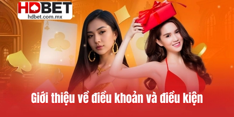 Giới thiệu đến người mới về điều khoản và điều kiện
