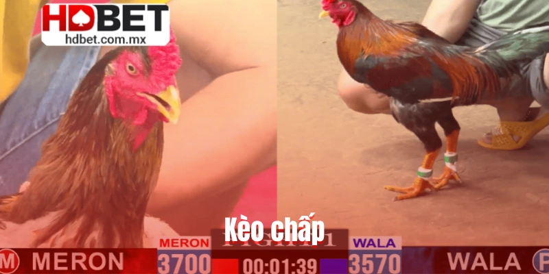 Kèo chấp