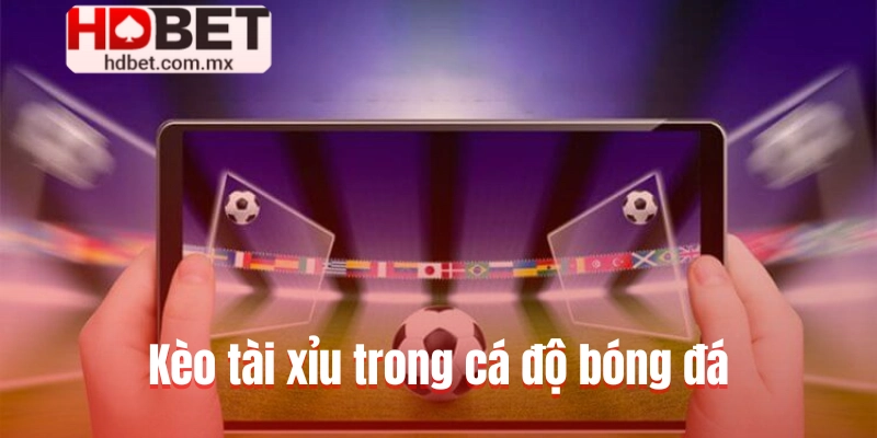 Khái quát về kèo tài xỉu trong bộ môn cá độ bóng đá