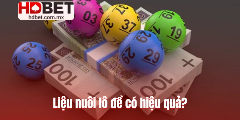 Liệu nuôi lô đề có hiệu quả?