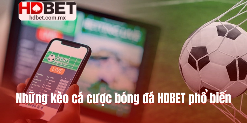 Những kèo cá cược bóng đá trực tuyến HDBET phổ biến