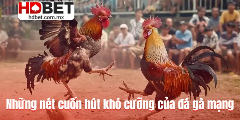 Những nét cuốn hút khó cưỡng của đá gà mạng