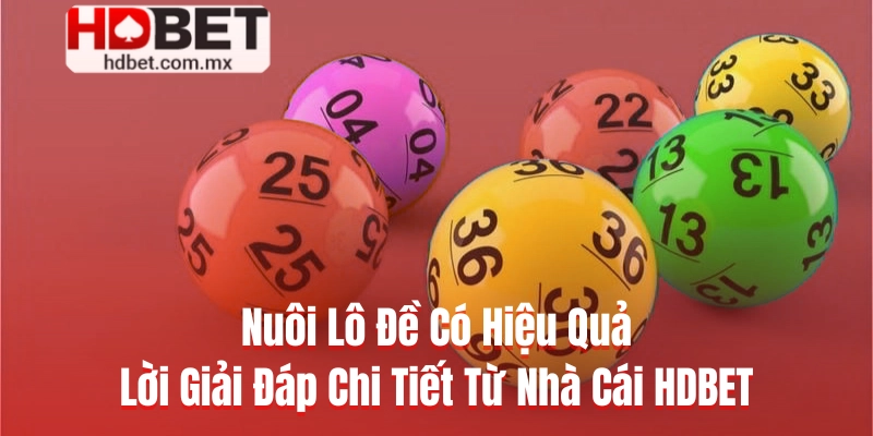 Nuôi Lô Đề Có Hiệu Quả - Lời Giải Đáp Chi Tiết Từ Nhà Cái HDBET