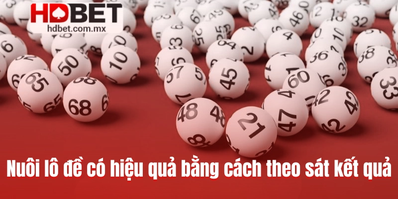 Nuôi lô đề có hiệu quả bằng cách theo sát kết quả