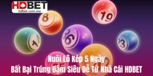 Nuôi Lô Kép 5 Ngày Bất Bại Trúng Đậm Siêu Dễ Từ Nhà Cái HDBET