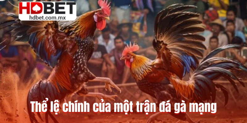 Thể lệ chính của một trận đá gà mạng
