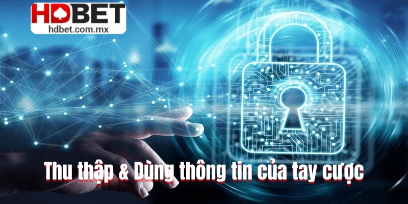 Thu thập & Dùng thông tin của tay cược