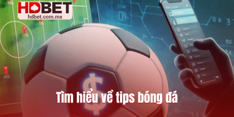 Tìm hiểu về tips bóng đá