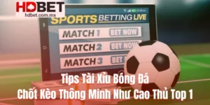 Tips Tài Xỉu Bóng Đá – Chốt Kèo Thông Minh Như Cao Thủ Top 1